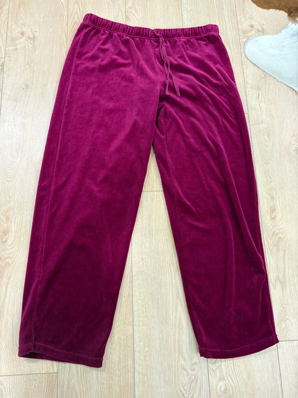 Cozy Velvet Lounge Pants‎ in Deep Berry size XL